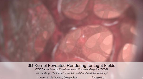3D-Kernel Foveated Rendering for Light Fields Teaser Image.